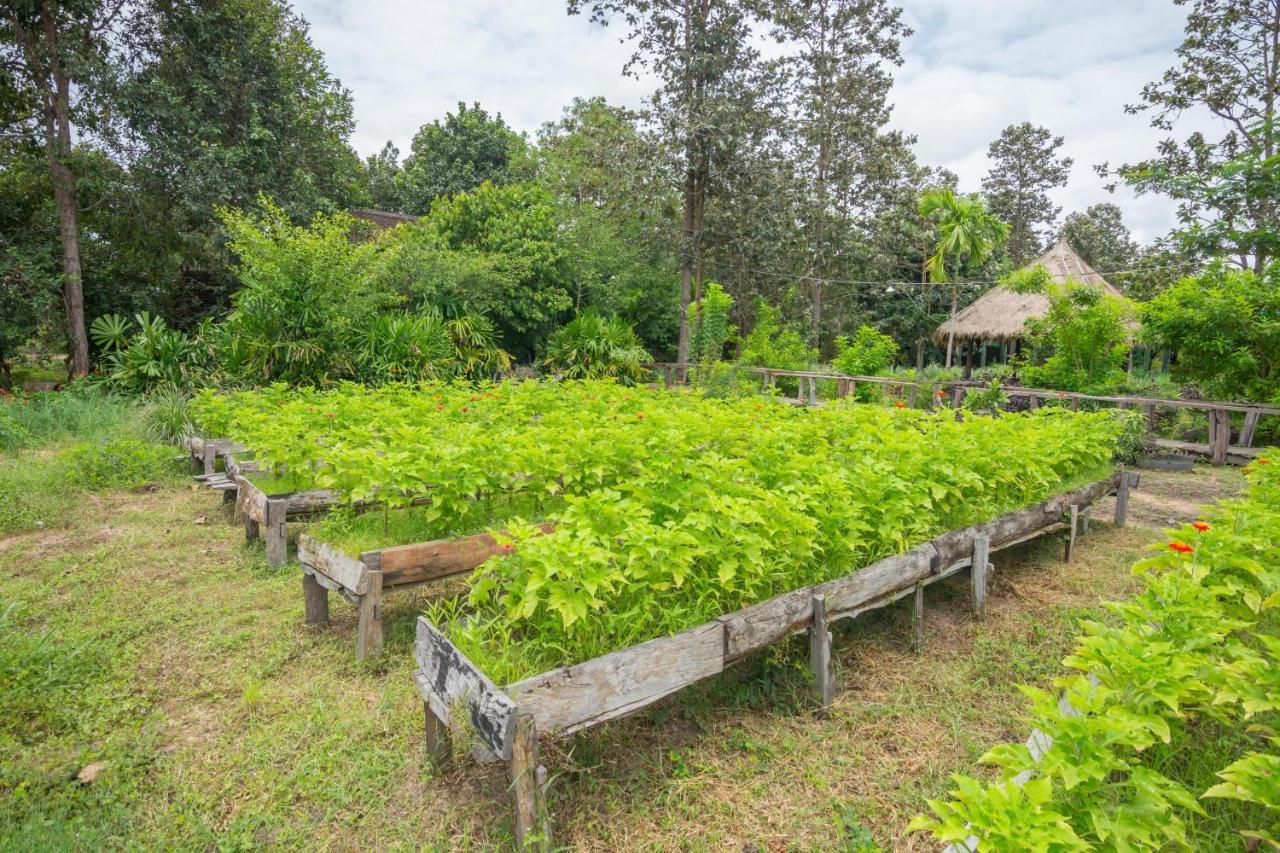 סיאם ריפ Bong Thom Forest Lodge מראה חיצוני תמונה